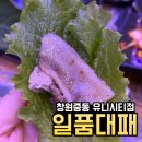 유니대패삼겹살 | 창원 중동 대패삼겹살 맛집 일품대패 중동유니시티점 24시간 가성비 고깃집