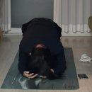 상암카닥터 | 26년 1월의 기록