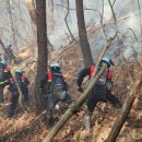 김삿갓면-4 이미지