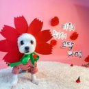 달중이네 이미지