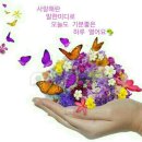 한솔사 Daum카페