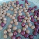 다목1리 이미지