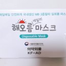 퍼스트 덴탈 | 덴탈마스크 추천 :: 퍼스트렌탈 '해오름 마스크' 착용 솔직 후기