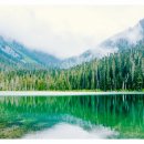 SY공인외국어번역행정사사무소 이미지