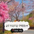금산-39 | 금산 보곡산골 축제 2026 충청도 벚꽃명소