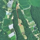 수성최씨시조묘 이미지