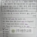 경남중 2 이미지