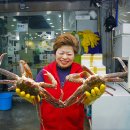 남해싱싱대게 이미지