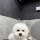 레이지 포 이미지