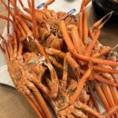 잘떳다 산오징어 - 달서구 진천동 | 대구 홍게 무한리필 동성로 잘떳다산오징어 삼덕점 가성비 횟집 후기
