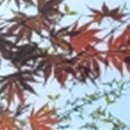 더위드치과의원 이미지