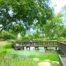 도봉-도봉-서울도봉-2399 이미지