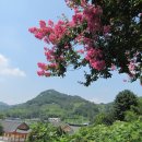 남사-2 이미지