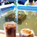 연못카페 | [영종도 카페] 영종도 이색 데이트 코스, 물멍하며 힐링하는 '작은연못' 아쿠아 카페 후기🌿🐠