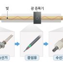 준통신 네이버블로그