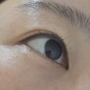 브로우윤결 네이버블로그