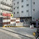 천안네일 두정동 꼬꼬마네일 여름에 어울리는 자석네일 후기(귀여움은 덤)