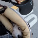 두한에너지 2 이미지