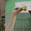 순호농장 이미지