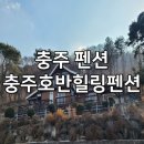 충주호반힐링