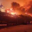 경북 의성發 ‘역대 최악 산불’...안동 · 청송 · 영양 · 영덕 덮쳤다 이미지
