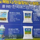 오명선농장 네이버블로그