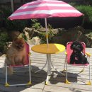 토리푸하우스 이미지