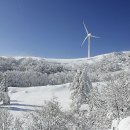 대관령약국 이미지