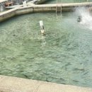 어라연송어횟집 이미지