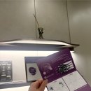 튠페이스 내돈내산 2회차 후기 (효과,가격)