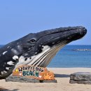 대성여관 이미지