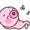 하운드 호텔 이미지
