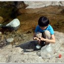 숲속의 휴식 이미지