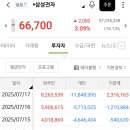 양전 이미지