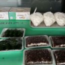 영광터미널시장 이미지