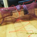 거창-신원-1 이미지