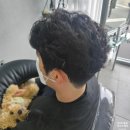록연 이미지