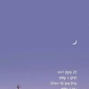 가을 숲으로 가자 이미지