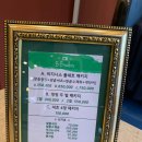 비비테일러 이미지