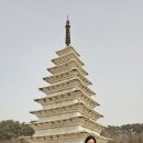 웰빙스포츠댄스 이미지