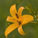 대한학원 이미지