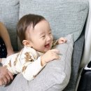 노원-상계-2573 | 너의 첫 생일 - 집에서 돌잔치 셀프돌상 : 하소재 돌떡 답례떡, 츄밍베이커리