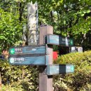 개화산 자락길 | 강서구 개화산 등산 코스 서울 산책길 추천