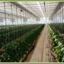 에벤에셀농장 이미지