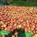 논골농장 이미지