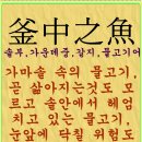 술통 Daum카페