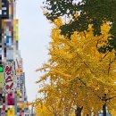 리 헤어샾 - 포항시 남구 | 리 헤어샾
