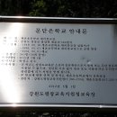 계촌초 대미분교장 네이버블로그