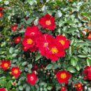 태양당약국 이미지