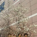 홈플러스(주) 서울합정점